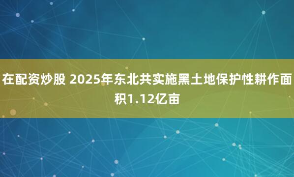 在配资炒股 2025年东北共实施黑土地保护性耕作面积1.12亿亩