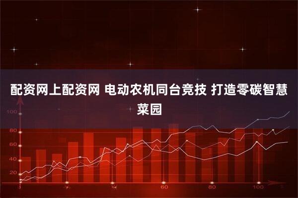 配资网上配资网 电动农机同台竞技 打造零碳智慧菜园
